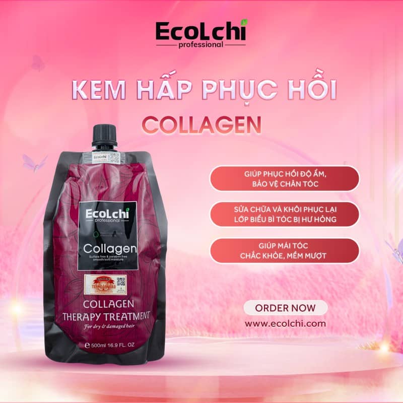 hap-collagen-ecolchi-2024
